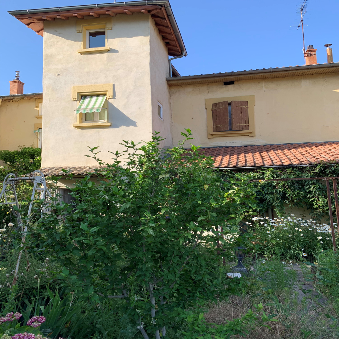 vente sainte foy les lyon centre appartement plateau vente sainte foy les lyon centre appartement plateau